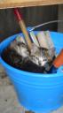 20080614074733.jpg