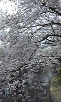 b765b5cc3a7ee6a7a942e01a710972b1